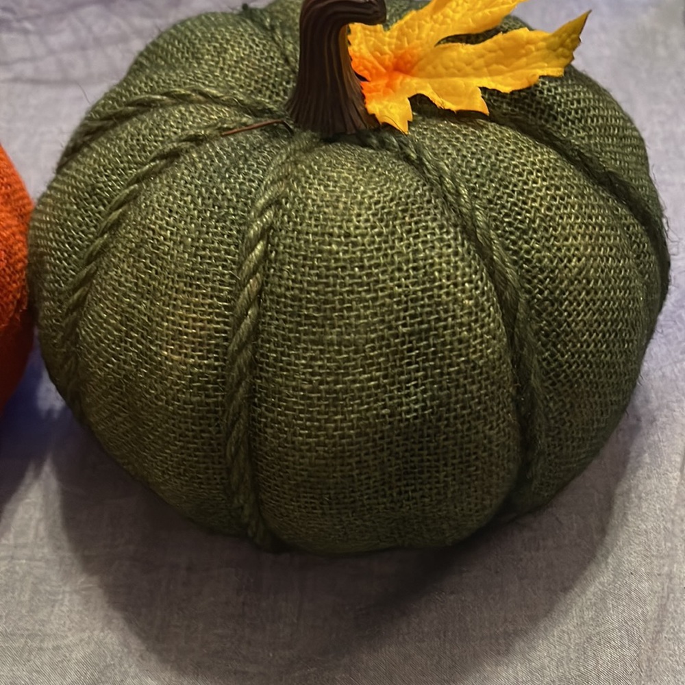 2 pumpkins đ - Picture 3 of 6